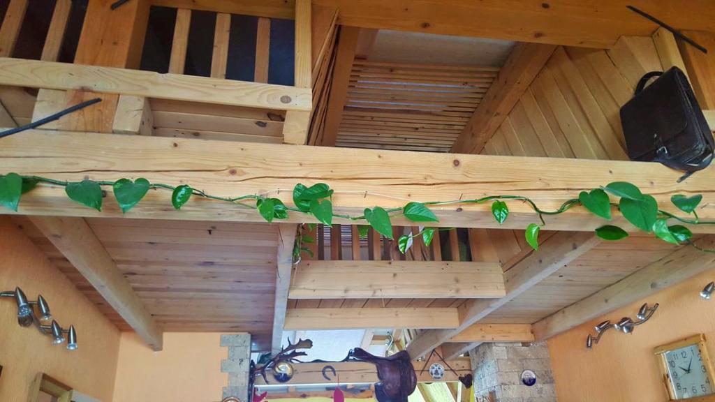 "Athos"Apartment Potkrovlje Višegrad エクステリア 写真